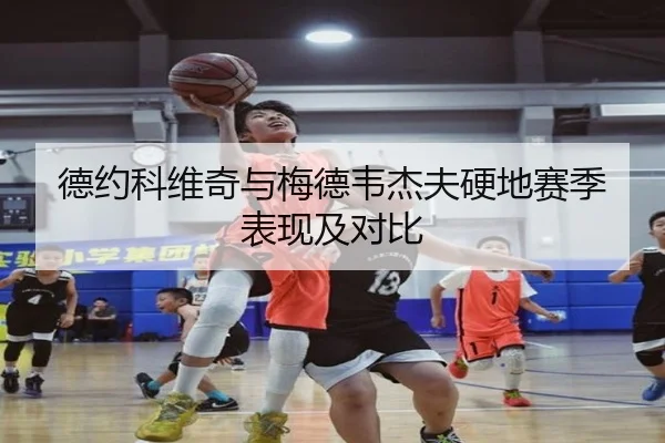 德约科维奇与梅德韦杰夫硬地赛季表现及对比